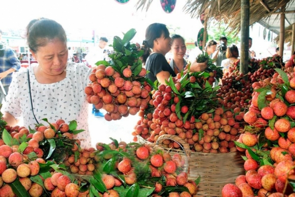 Veggie, fruit exports exceed 1.5 billion USD in first half of 2020