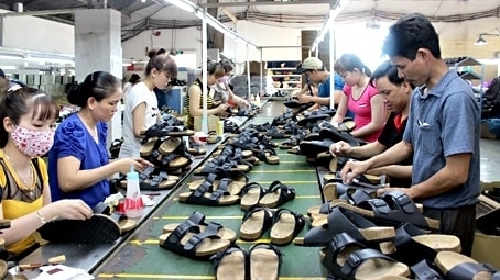 Viet Nam footwear exports to EU grow