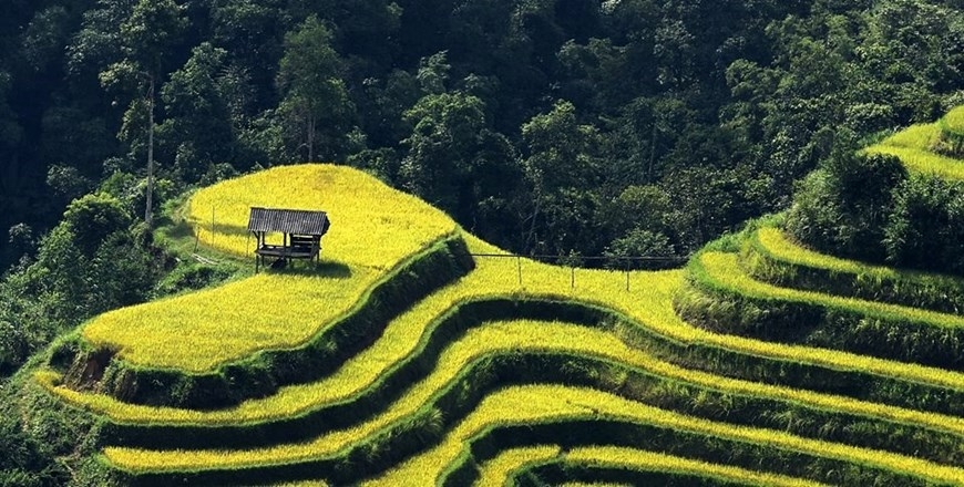 Ha Giang to host culture week highlighting terraced rice fields