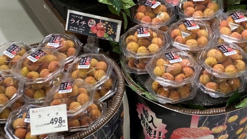 Vietnamese lychees win favour in Japan