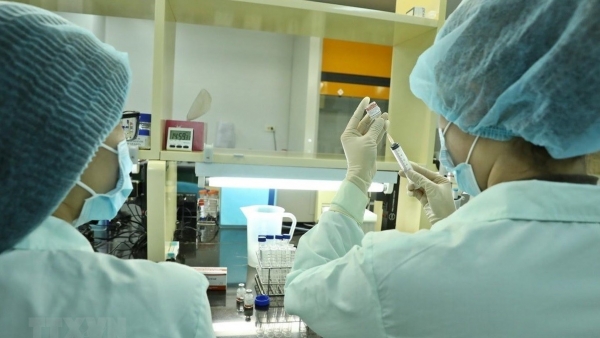Viet Nam calls for WB support in COVID-19 vaccine research, production