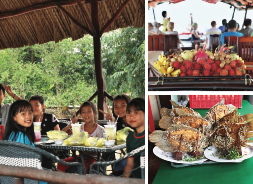 mekong delta the do che diaries