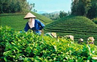vietnam records 234 billion usd in trade surplus with uk
