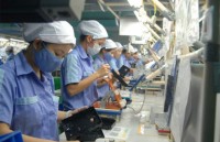 vietnamese economy witnesses new records
