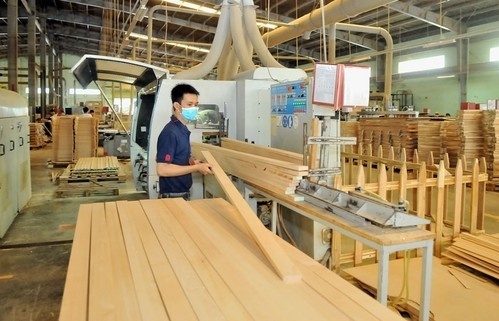 Forestry exports will not be lower than 12 billion USD: Official
