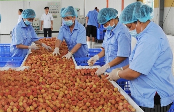 State needs to help cut logistics cost for farm produce