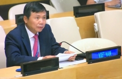 Vietnam reaffirms support for peace deal implementation in Colombia