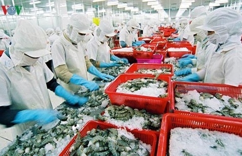 Fishery sector aims for “yellow card” removal with US$10 billion export target in sight
