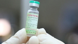 Viet Nam strives for at least one successful homegrown COVID-19 vaccine in 2021