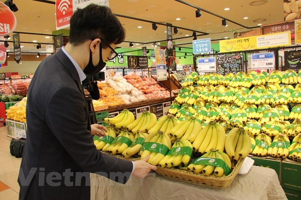 RoK increases banana imports from Vietnamese market