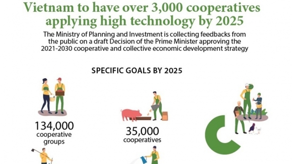 Viet Nam to have over 3,000 cooperatives applying high technology by 2025