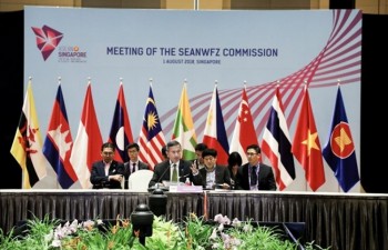 Vietnam attends SEANWFZ, AICHR meetings in Singapore