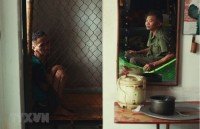 no vietnamese victims reported in wildfires in california