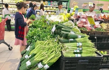 Ha Noi says no to plastic bags, disposable plastic products