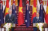 vietnam steps up work to help longan enter australian market