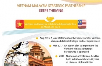 Vietnam-Malaysia strategic partnership keeps thriving