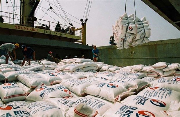 0121 vietnam exports 39 million tonnes of rice in seven months