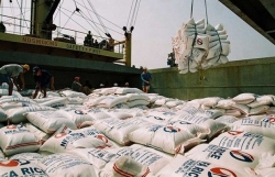 Vietnam exports 3.9 million tonnes of rice in seven months
