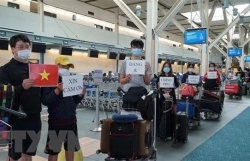 Vietnamese Embassy in RoK coordinated to bring over 310 citizens home