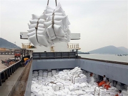 Vietnam’s rice exports to Africa continue to rise: Trade Counsellor