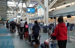 Vietnamese Embassies in Canada, RoK strive to bring home citizens stranded due to COVID-19