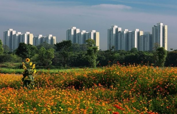 More regulations for developing green cities