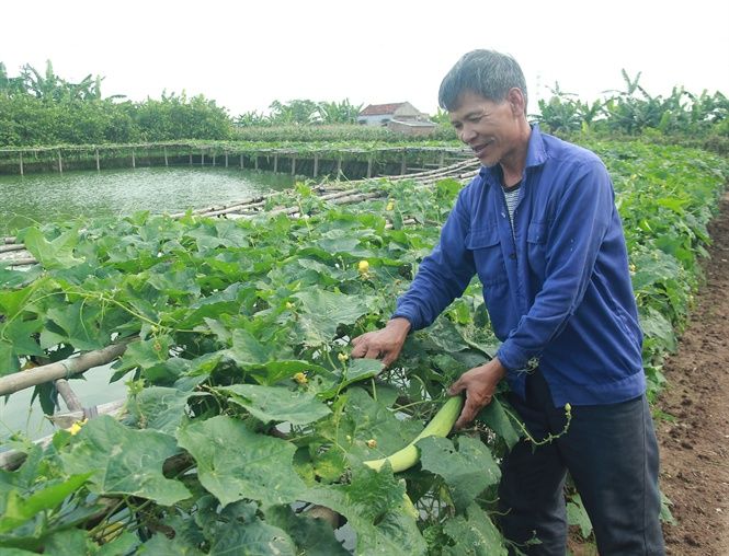 Creating sustainable businesses in Vietnam Experts creating sustainable businesses in vietnam experts