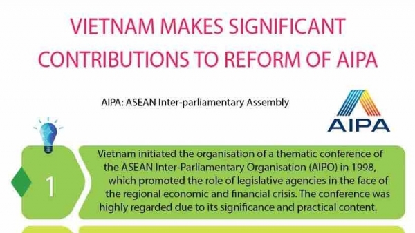 Viet Nam makes significant contributions to reform of AIPA