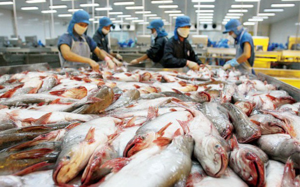us becomes vietnams largest tra fish importer