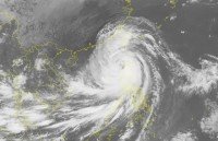 typhoon mangkhut wrecks havocs in its way