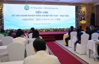 vietnamese japanese firms partner to support mozambiques development