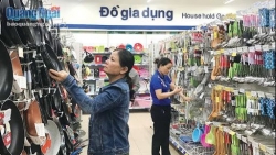 Top Thai Brands 2020 underway in HCM City
