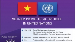Vietnam proves its active role in United Nations