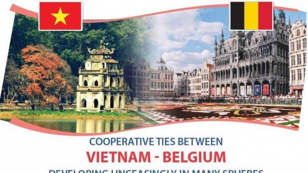Viet Nam-Belgium relations develop unceasingly