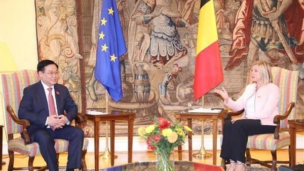 NA Chairman Vuong Dinh Hue holds talks with leader of Belgium's Chamber of Representatives