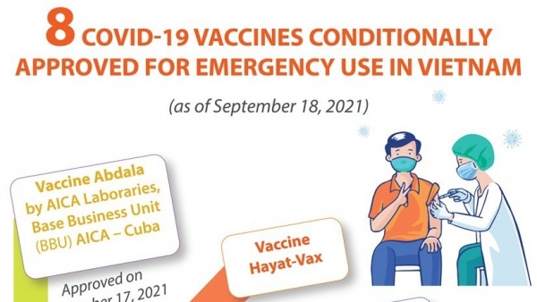 Eight COVID-19 vaccines conditionally approved for emergency use in Viet Nam