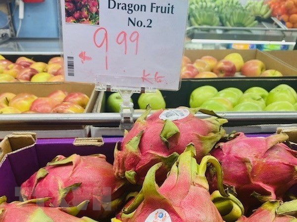 Vietnamese dragon fruit sold in Melbourne, Australia (Source: VNA)