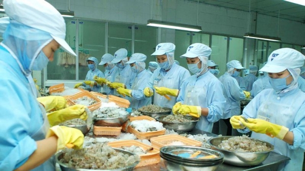 Vietnamese shrimp exports to the UK maintains market share
