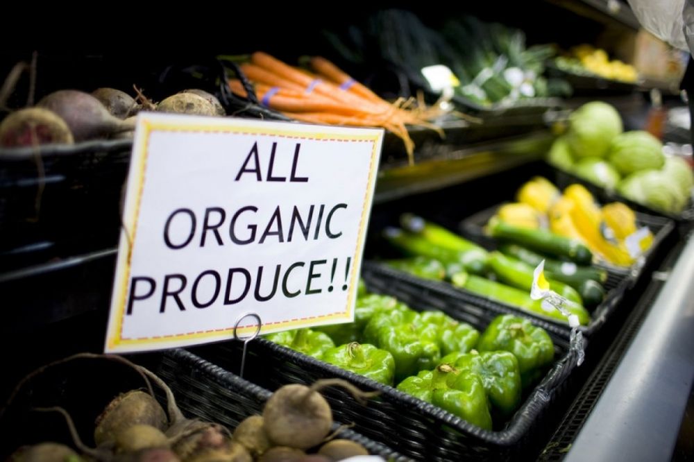 vietnam strives to increase organic agricultural produce exports