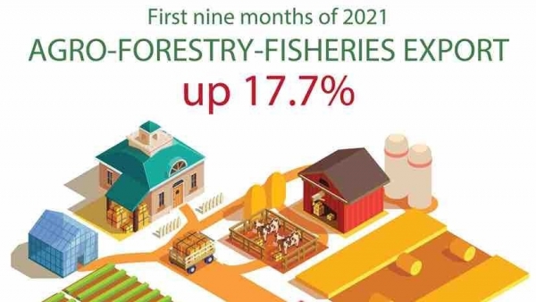 Agro-forestry-fisheries export value up 17.7 percent