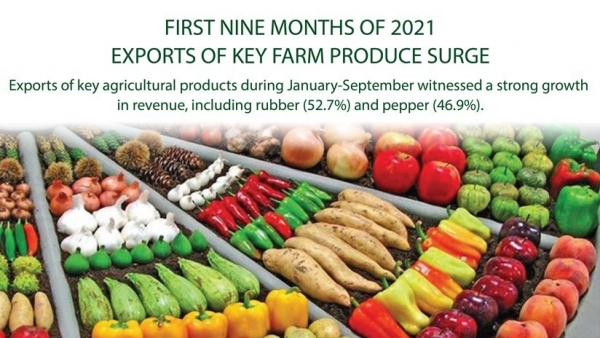 Exports of key farm produce surge in nine months