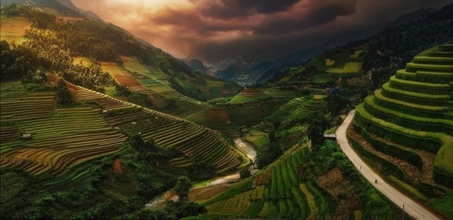 Picture of Vietnamese rice terraces enters prestigious photography contest
