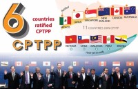 vietnams cptpp ratification dominates international headlines