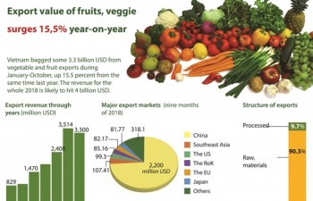 Export value of fruits, veggie surges 15.5 percent year-on-year