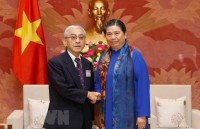 vietnamese japanese foreign ministries seek stronger cooperation