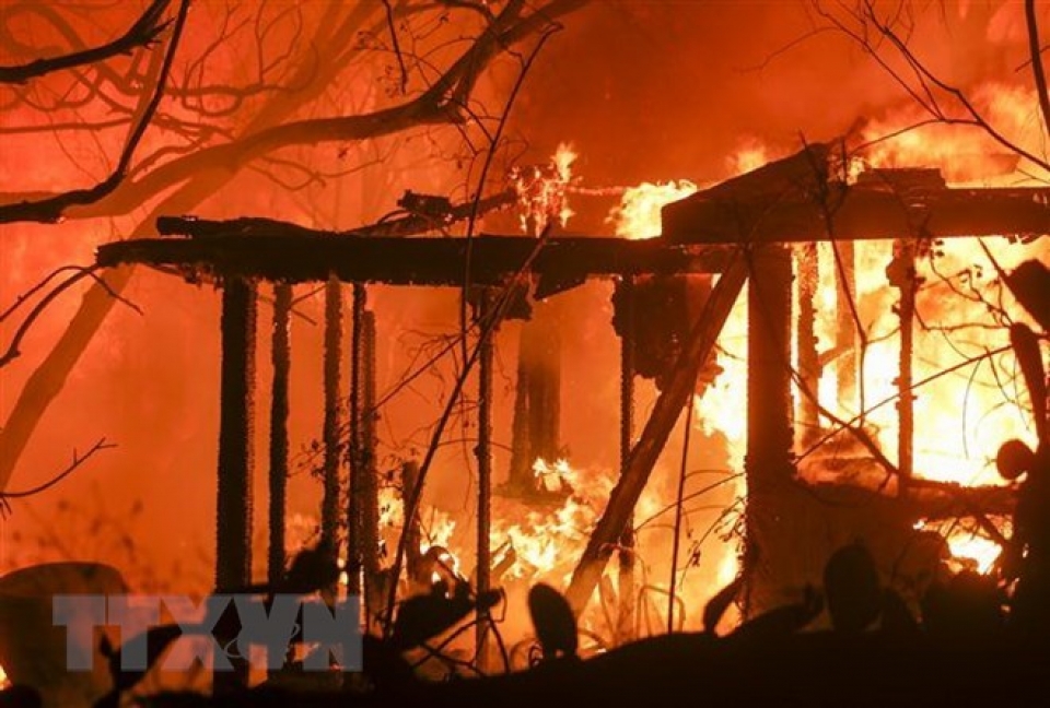 no vietnamese victims reported in wildfires in california