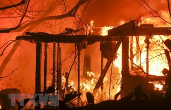No Vietnamese victims reported in wildfires in California