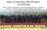 vietnam tops major asean economies in 2018 hsbc