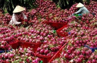 us expects to export more agricultural products to vietnam