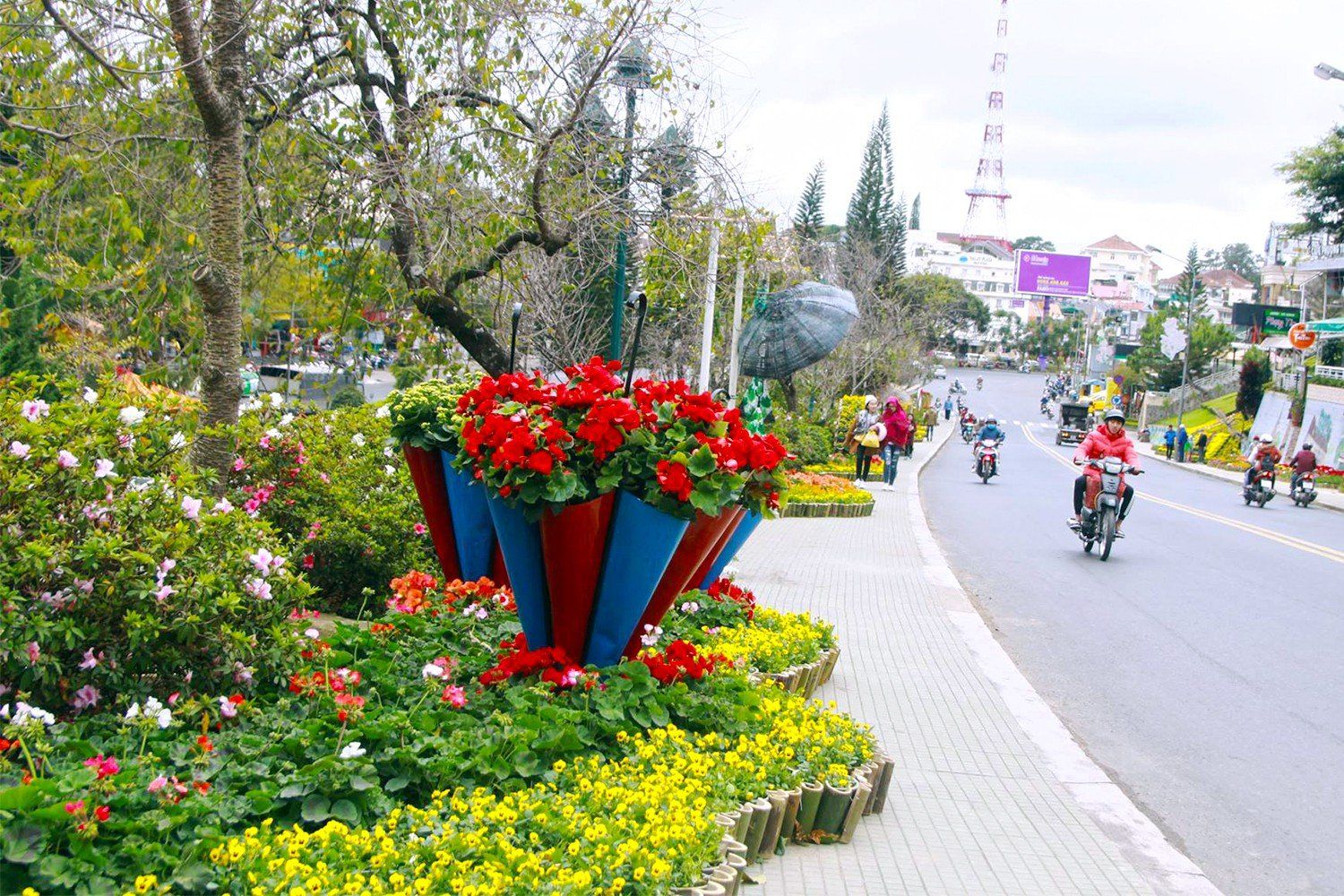 Da Lat actively prepares for flower festival